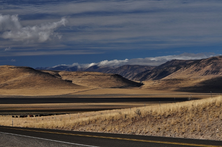 high desert terrain